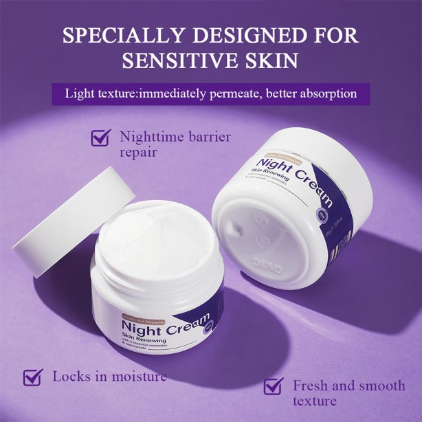 Niacinamide Anti-Oxidant Night Cream Skin Renewing Moisturizing Nourishing Face Cream